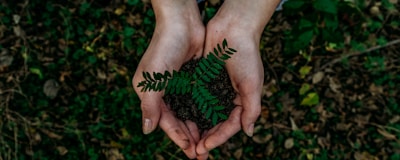 Eco-friendly kraft packaging boxes